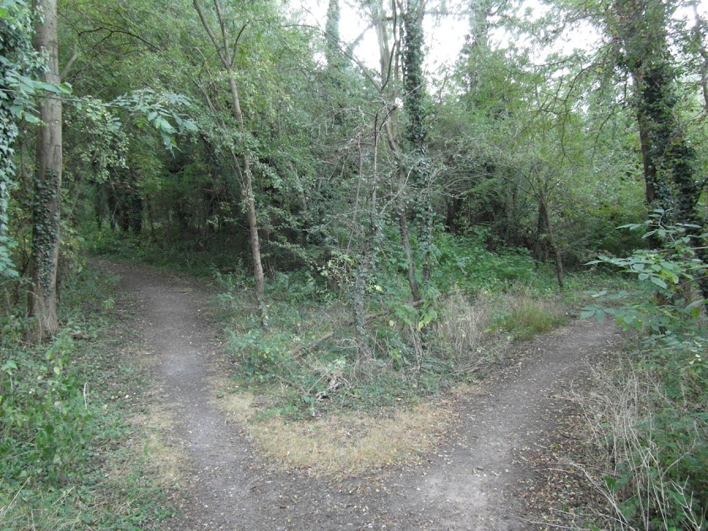 Lee Valley Park