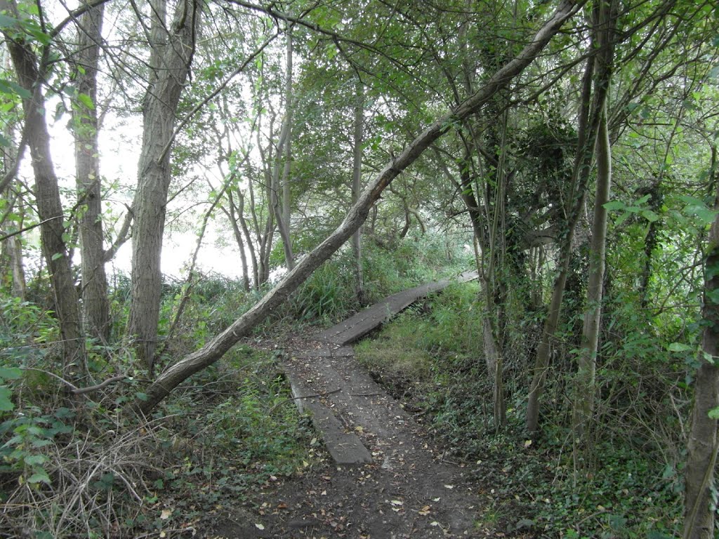 Lee Valley Park