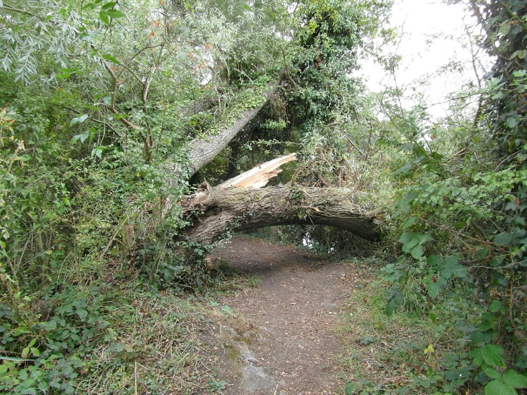 Lee Valley Park
