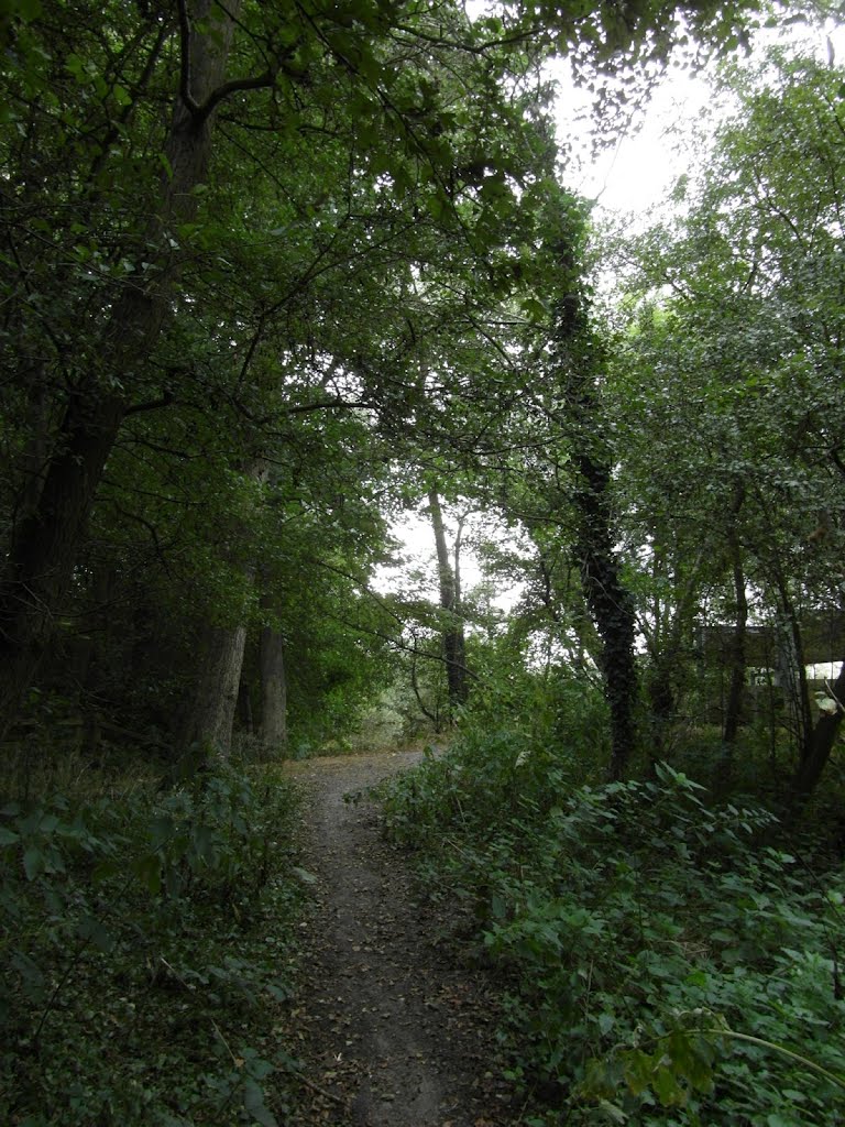 Lee Valley Park