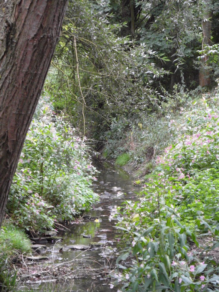 Lee Valley Park