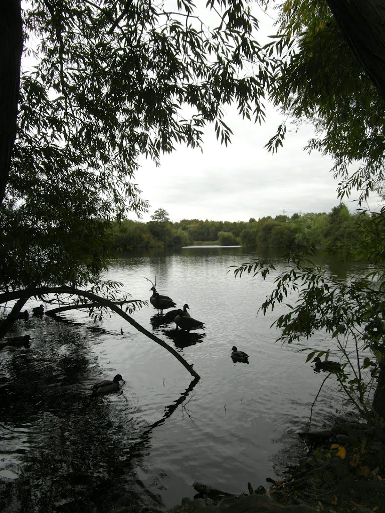 Lee Valley Park