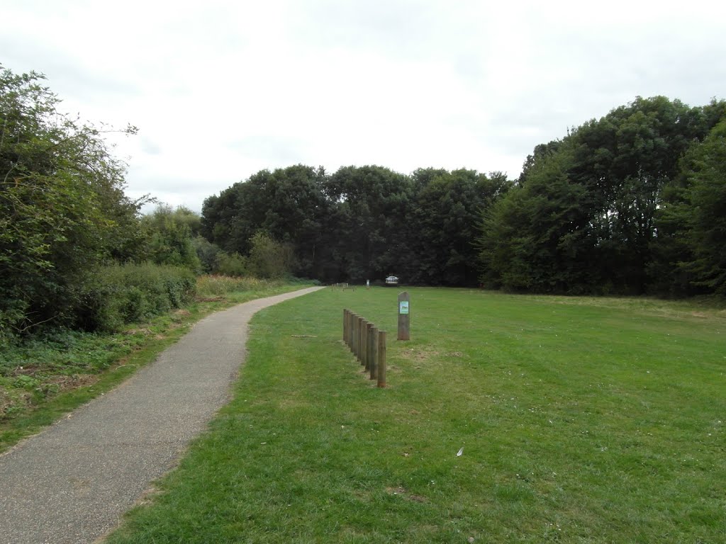 Dog slalom