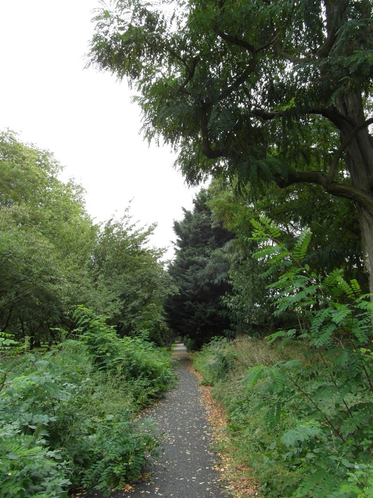 The Cedars Park