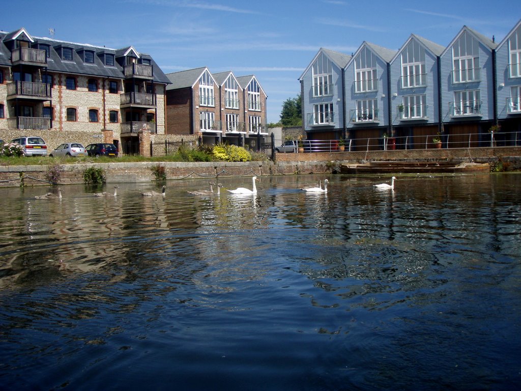 Chichester canal basin