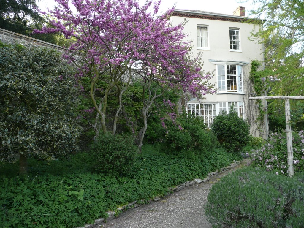 chichester b & b