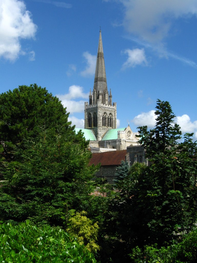 Chichester Cathedral from the Bishops gardens
