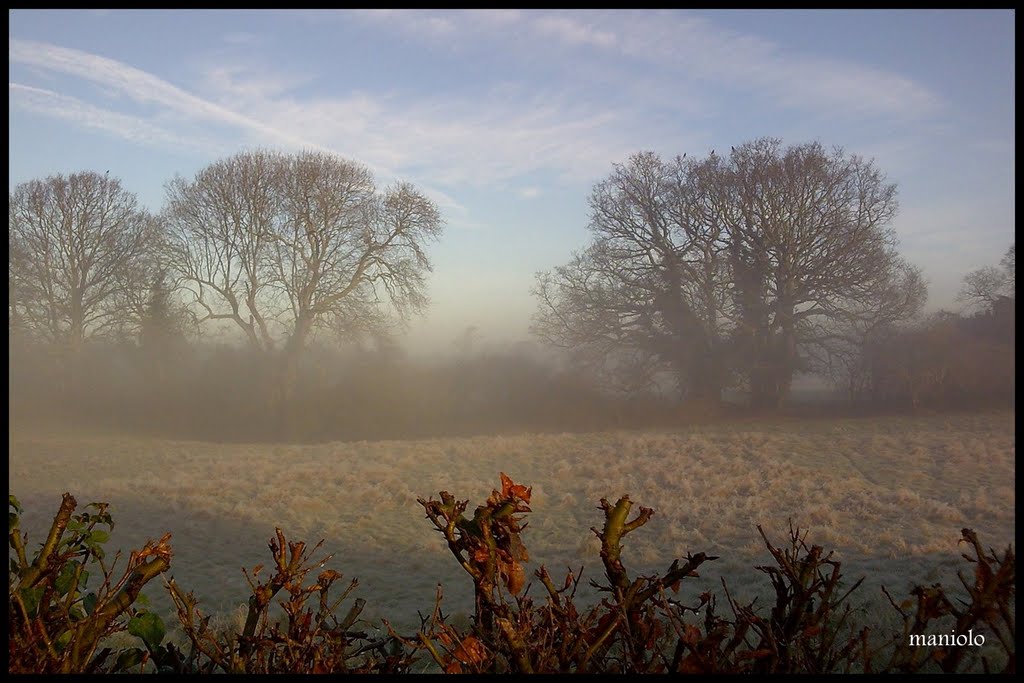 Mist