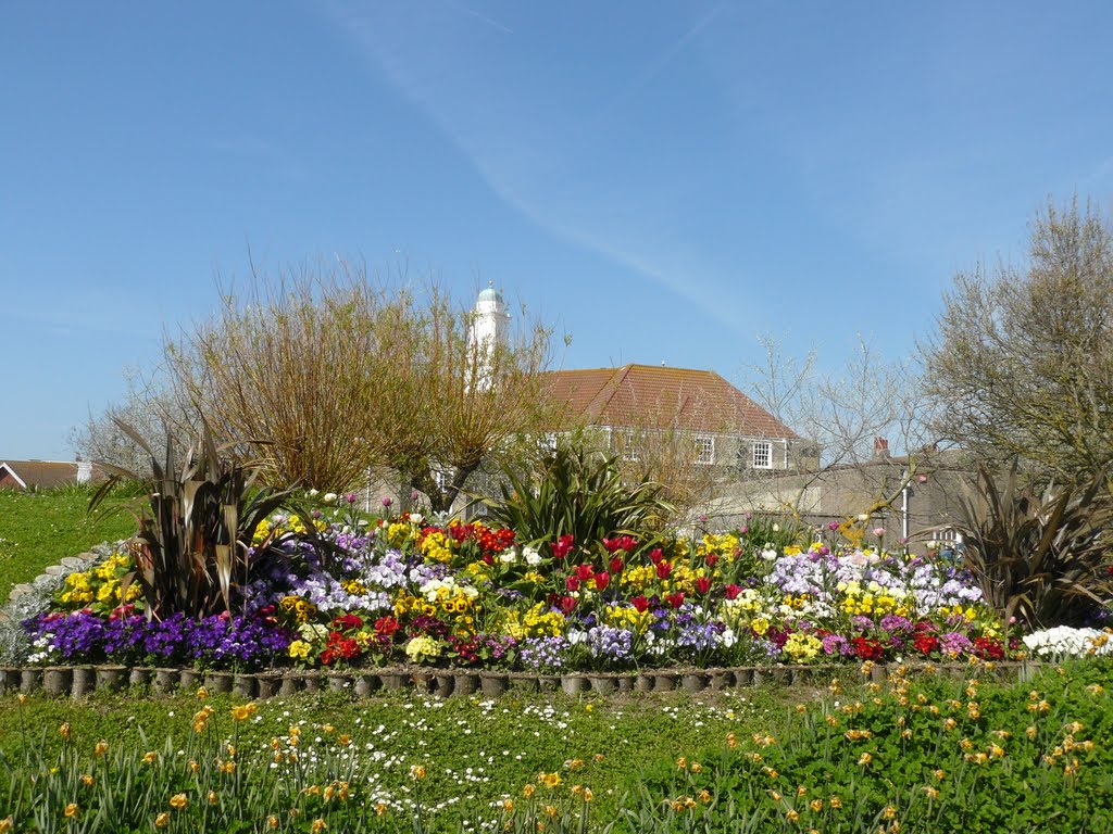 Spring Flowers