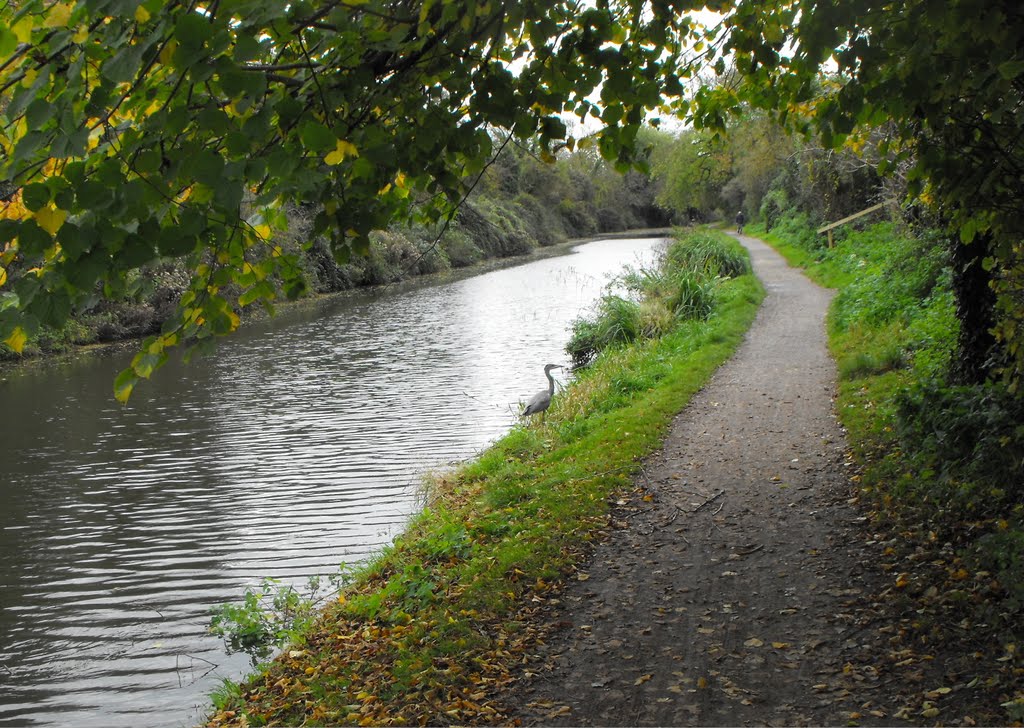 The Chichester ship canal