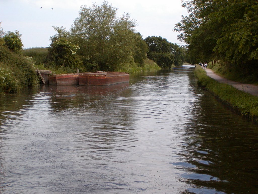 Chichester canal (Spoil site)