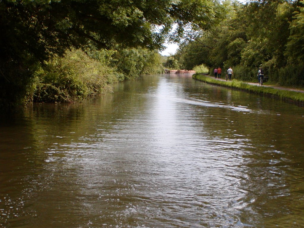 Chichester canal (Spoil site-02)