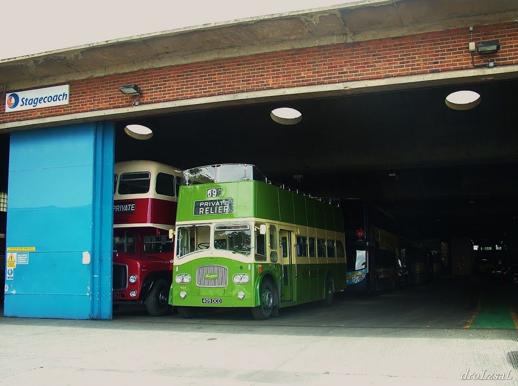 Régi buszok (Vintage buses)