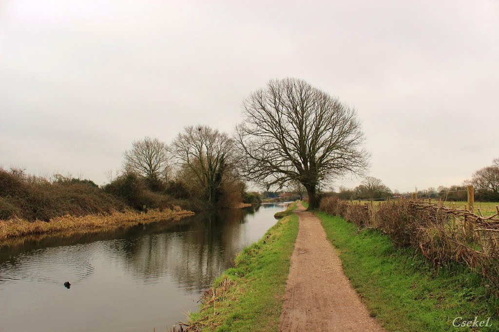 Kanális (Chichester Canal)