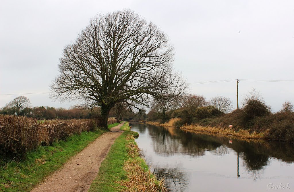 Kanális (Chichester Canal)