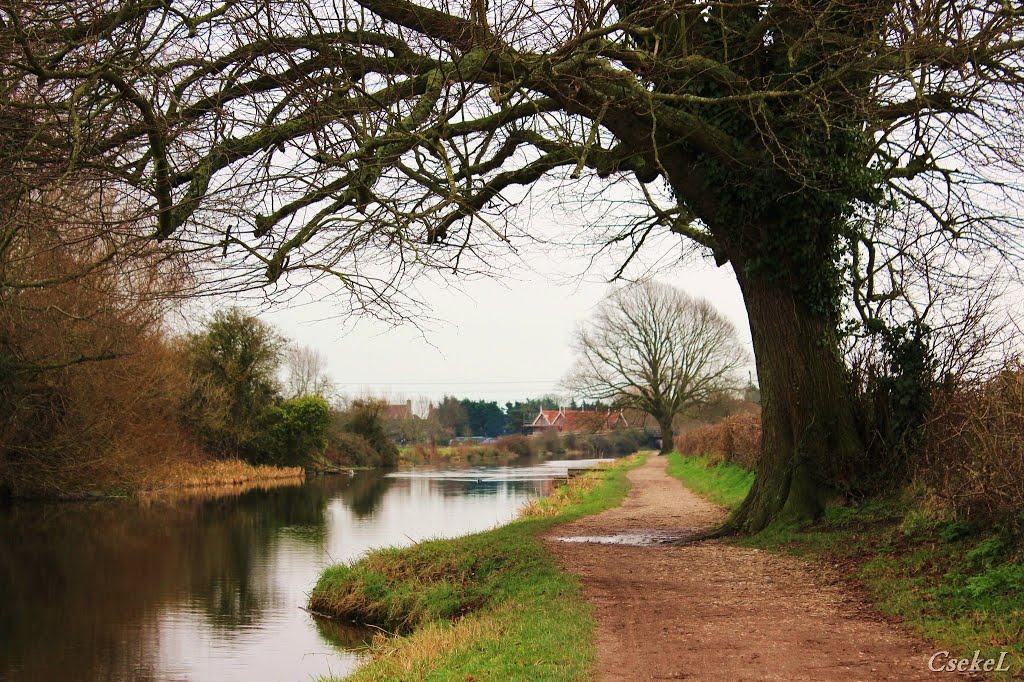 Kanális (The Canal)