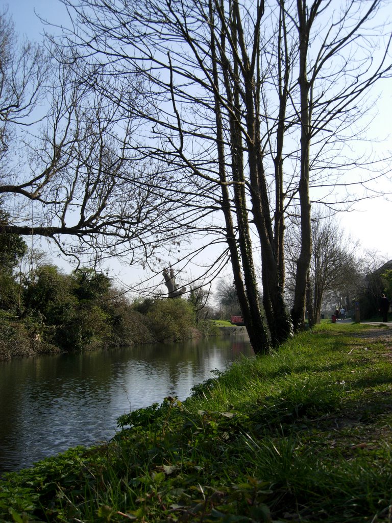 Chichester-Canal