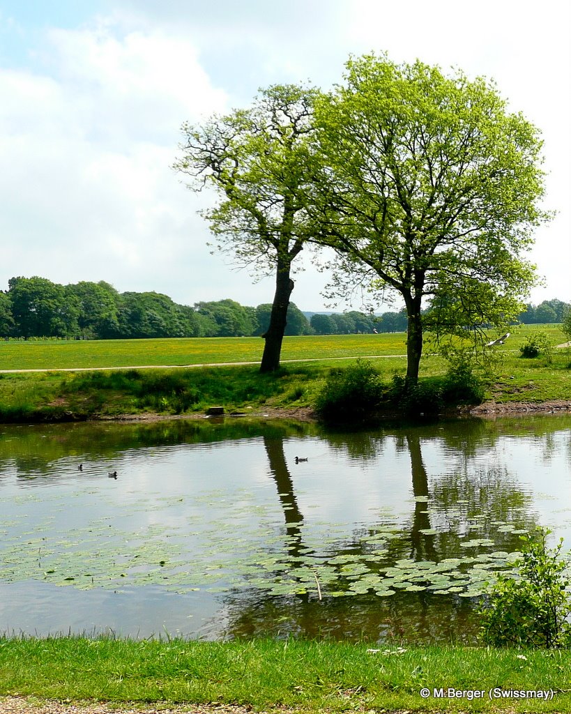 mb - In Astley, a Park in England between the Motorways M6 and M61