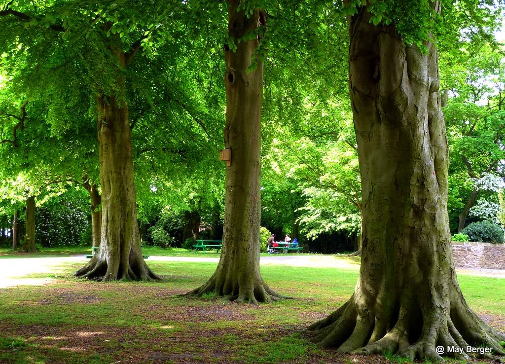 mb - Astley Park Chorley Northengland