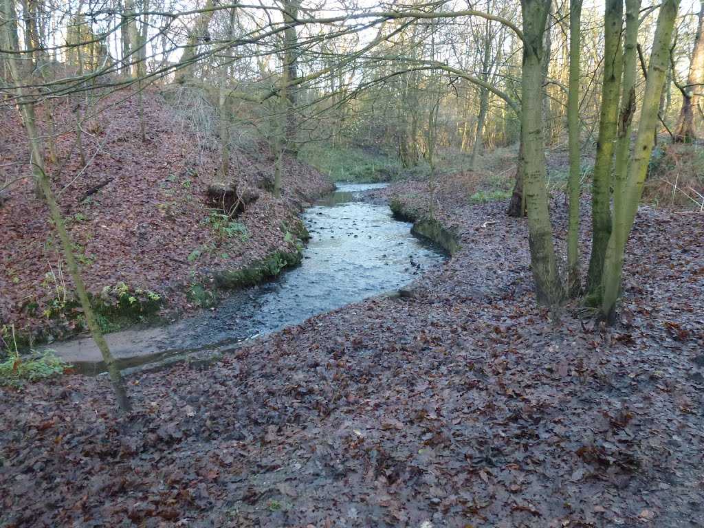 The River Chor