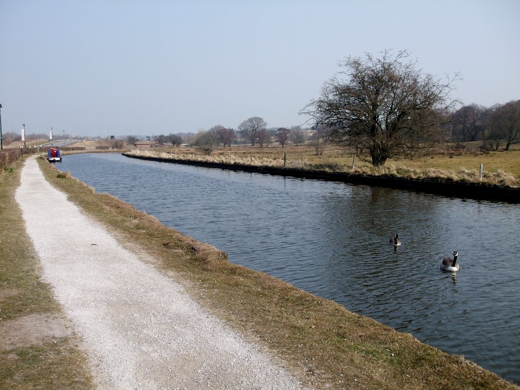 Leeds Liverpool Canal at Botany Bay