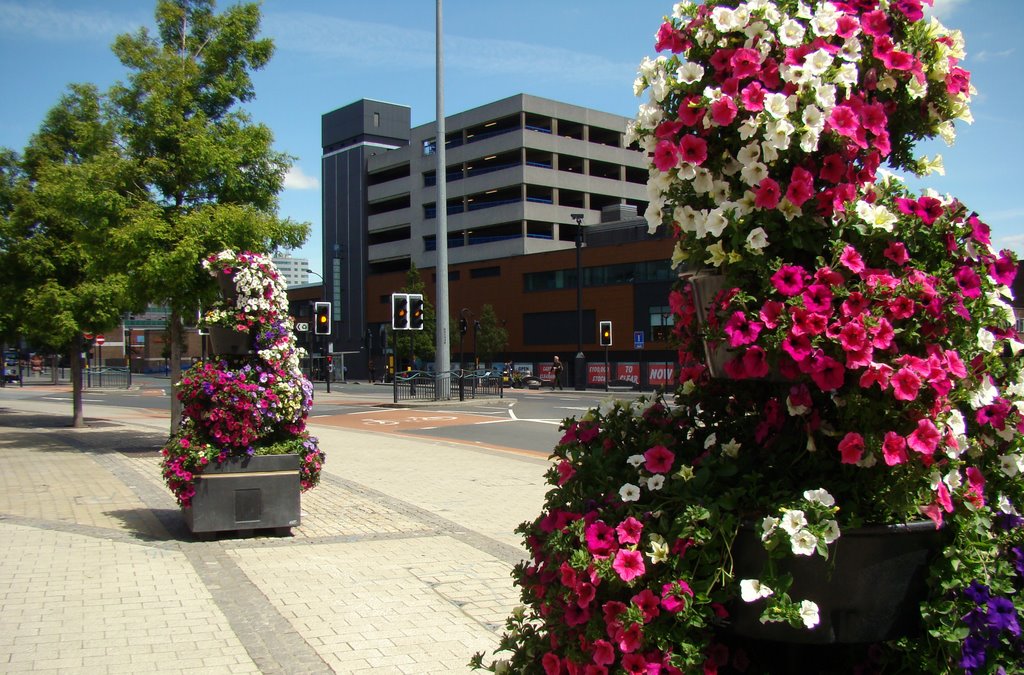 Rear of Atkinsons department store framed by flower displays, Moore Street/Charter Row, Sheffield S1