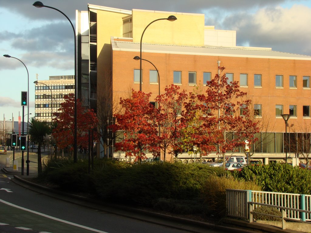 Sheffield Hallam University on Arundel Gate, Sheffield S1