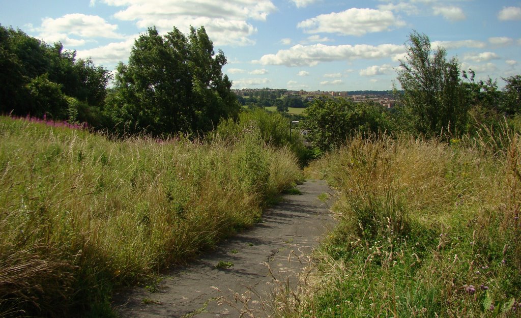 Footpath at Skye Edge looking towards Norfolk Park, Sheffield S2