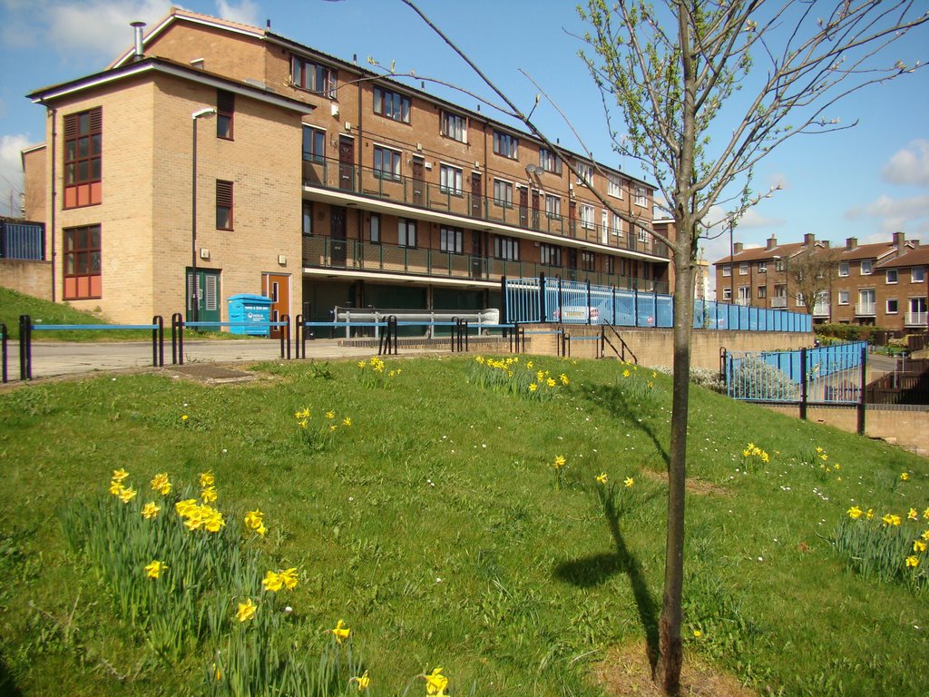 Bramwell Close maisonettes, Netherthorpe, Sheffield S3