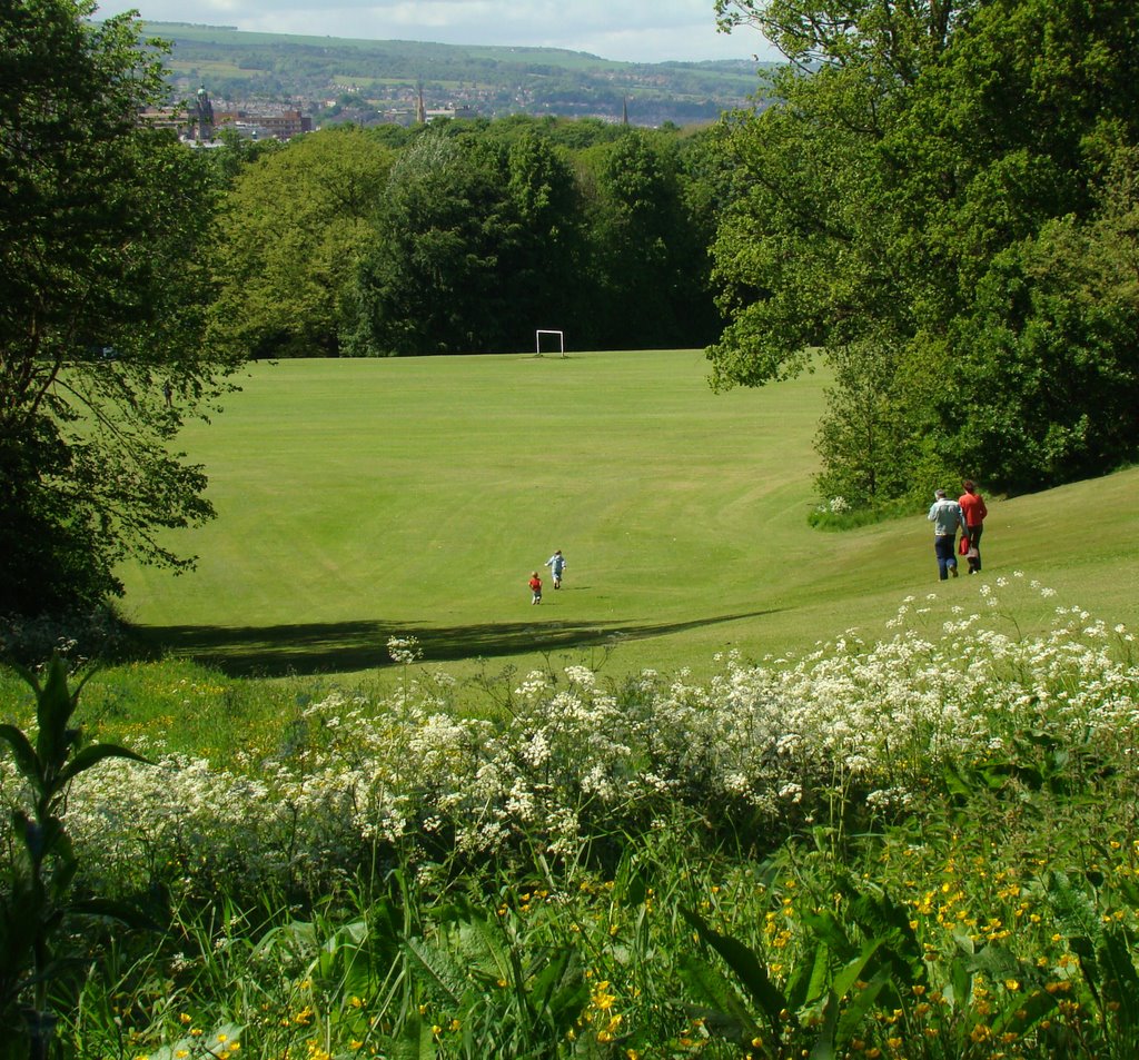 Heading towards the football pitch, Norfolk Heritage Park, Sheffield S2