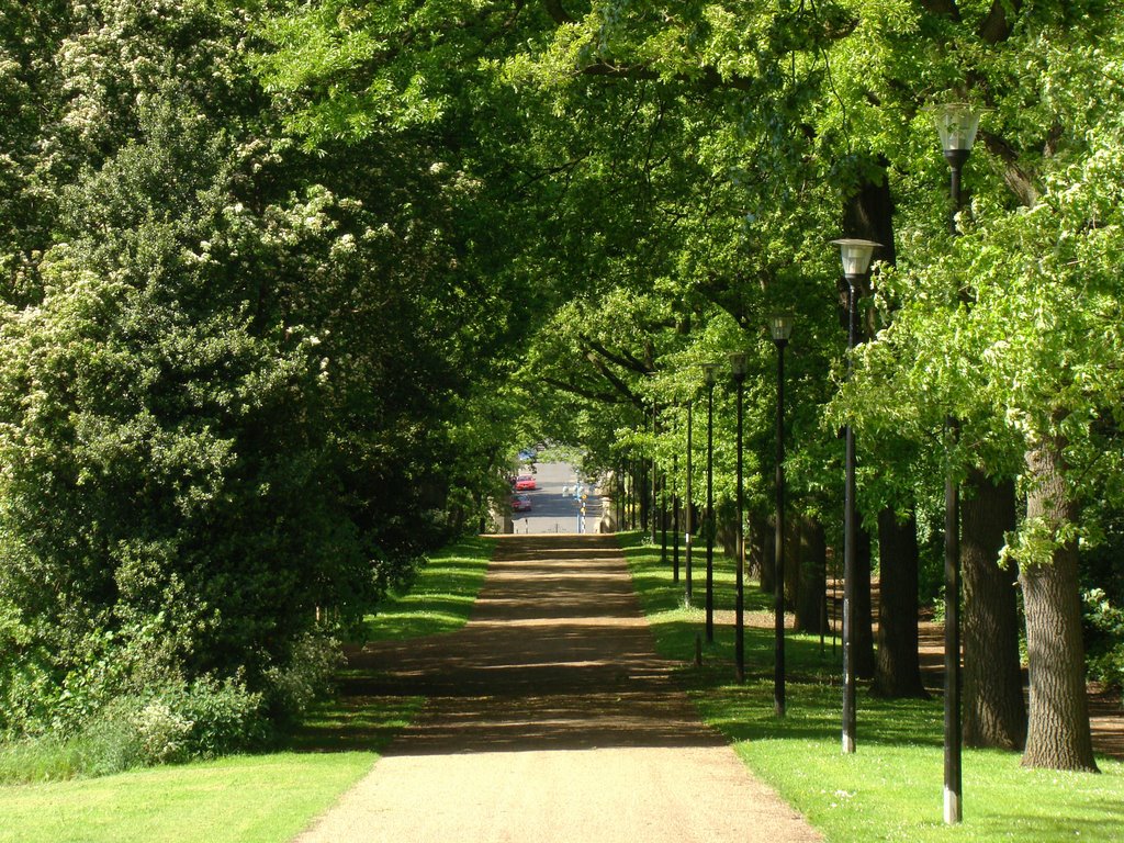 Looking down Norfolk Park Avenue towards the main entrance from Granville Road, Norfolk Heritage Park, Sheffield S2