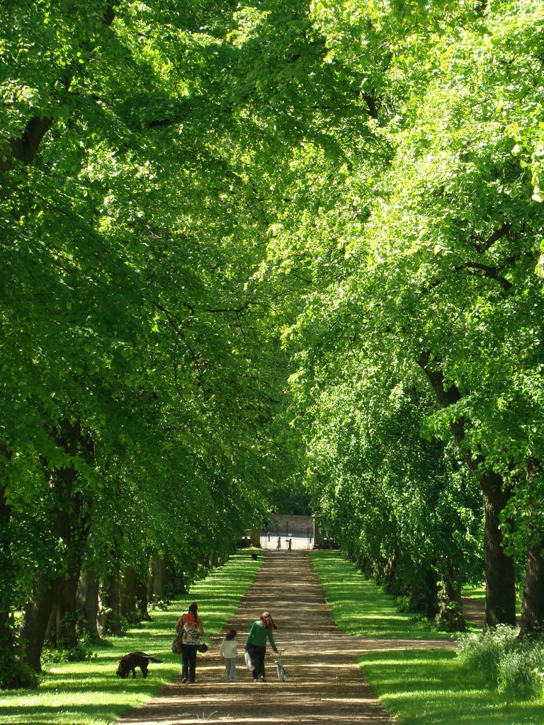 Looking down Norfolk Park Avenue towards the entrance from Norfolk Park Road, Norfolk Heritage Park, Sheffield S2