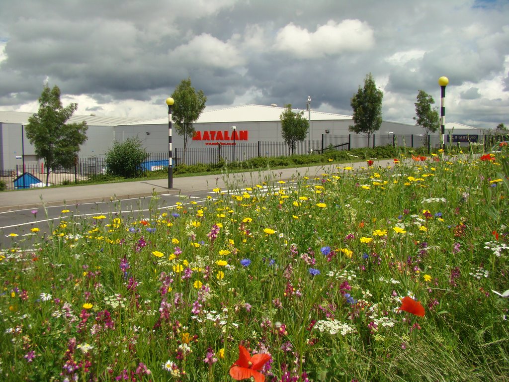 Looking towards Parkway Retail Park and Cricket Inn Road from a wild flower meadow, Wybourn, Sheffield S2