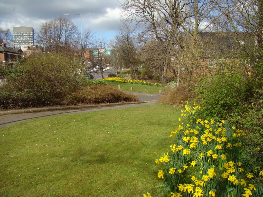 Upper Hanover Street in spring with the University of Sheffield Arts Tower in the distance, Sheffield S3/S10
