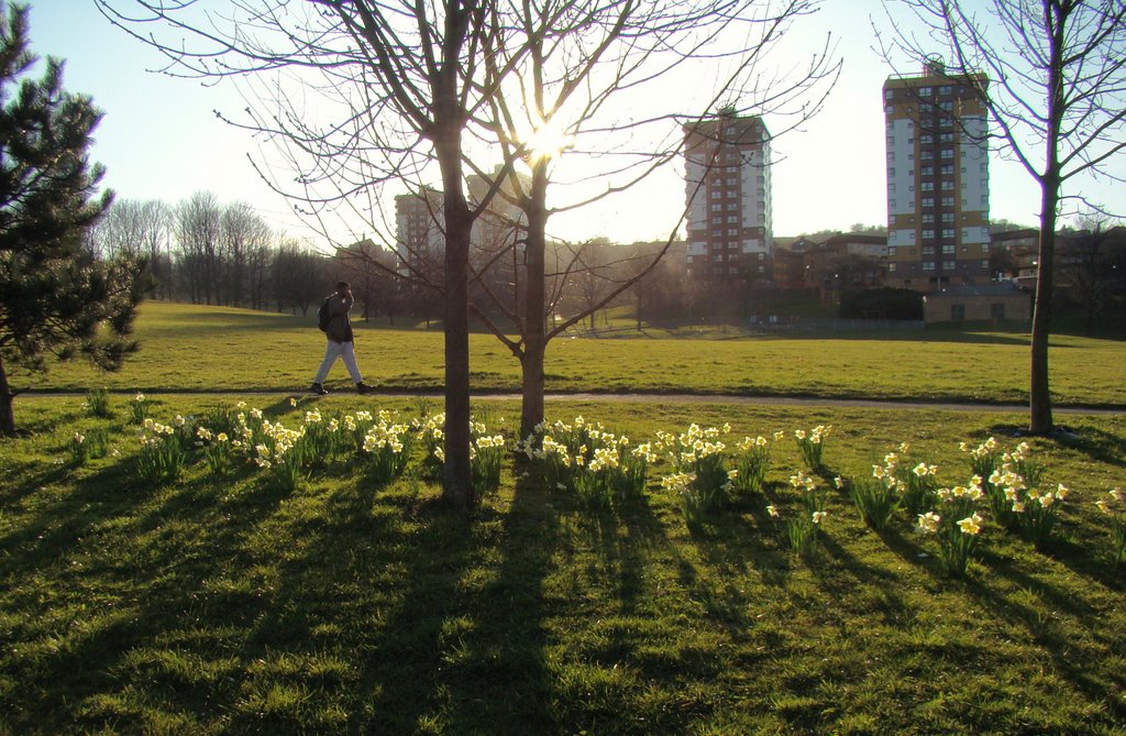 Low sun behind Upperthorpe high rise, Sheffield S3/S6