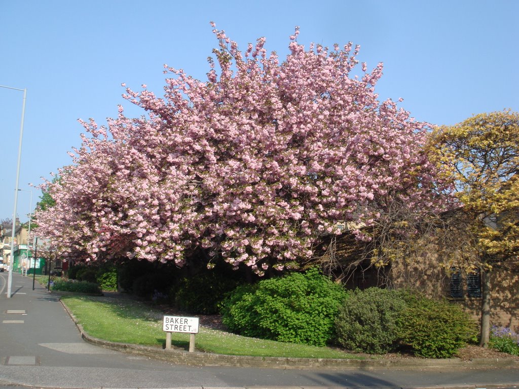 The corner of Baker Street and Saltaire Road