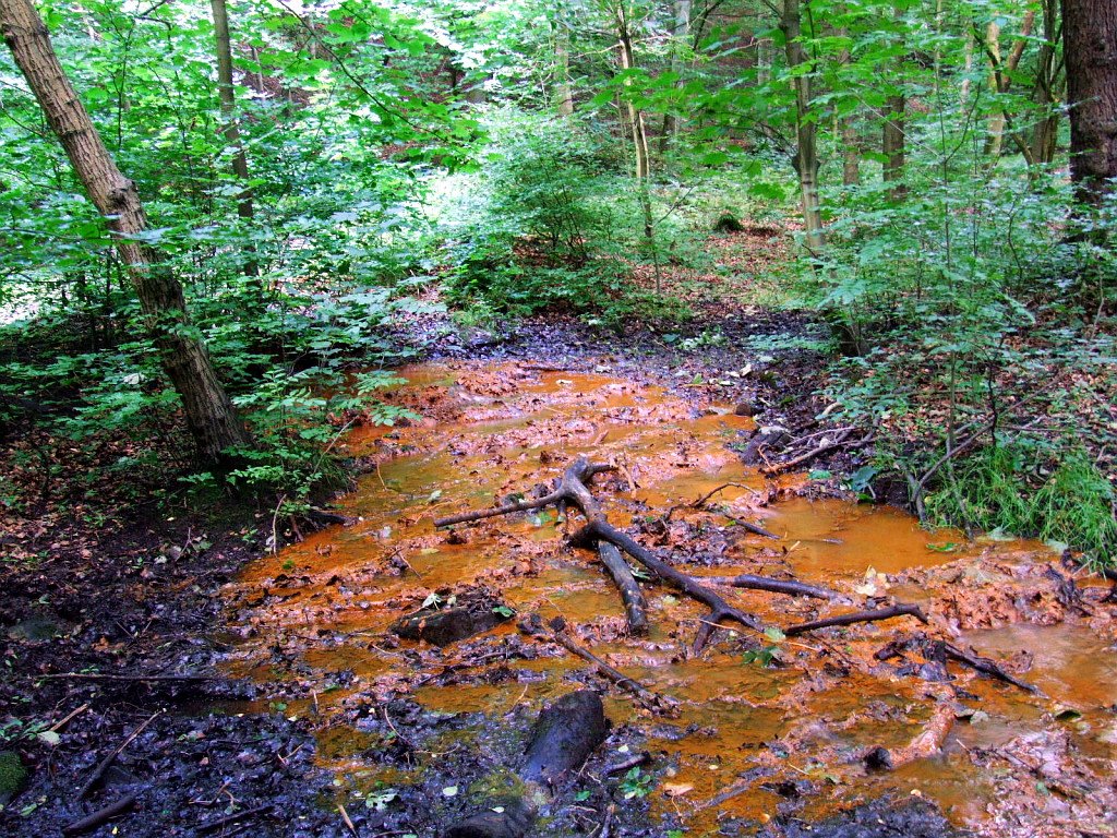 Red Beck, Heaton Woods (natural ironstone stained spring)