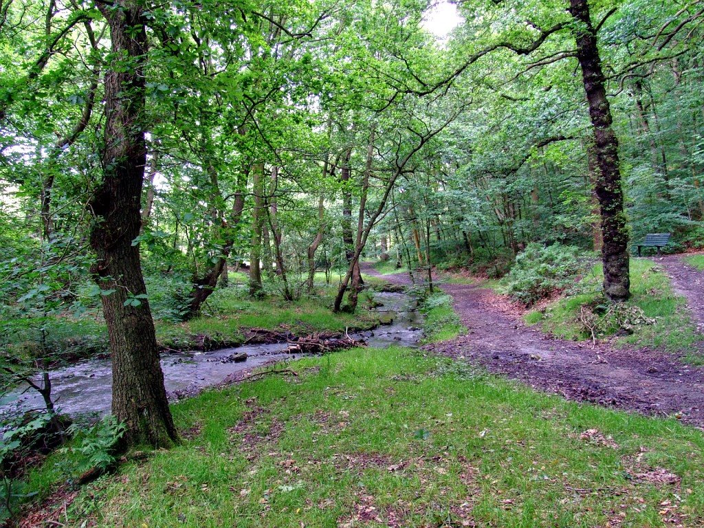 Red Beck, Heaton Woods