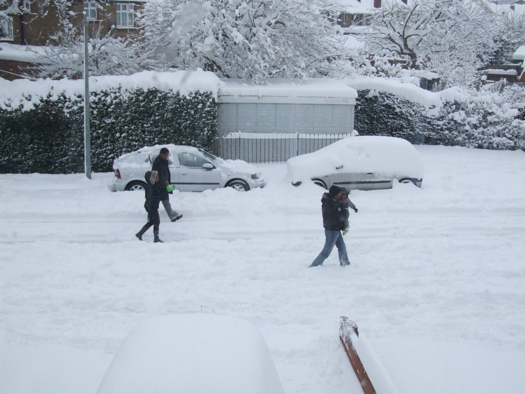 Pound Lane 2nd February