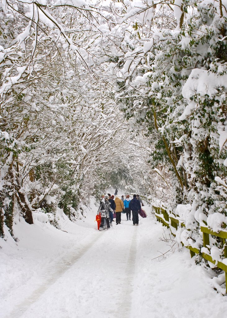 Walking up to Epsom Downs - Feb 2009