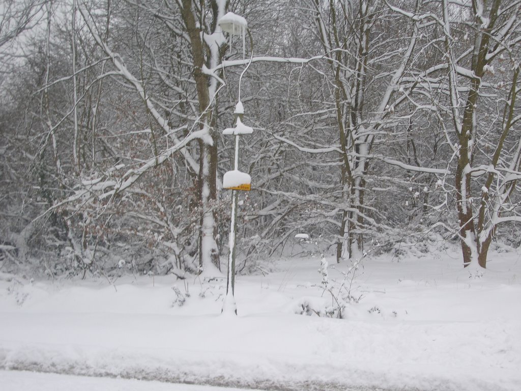 Woodcote Side Winter 2009
