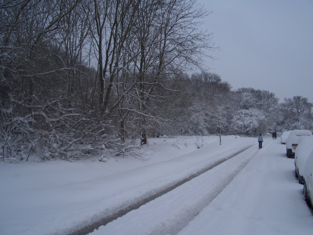 Woodcote Side Winter 2009