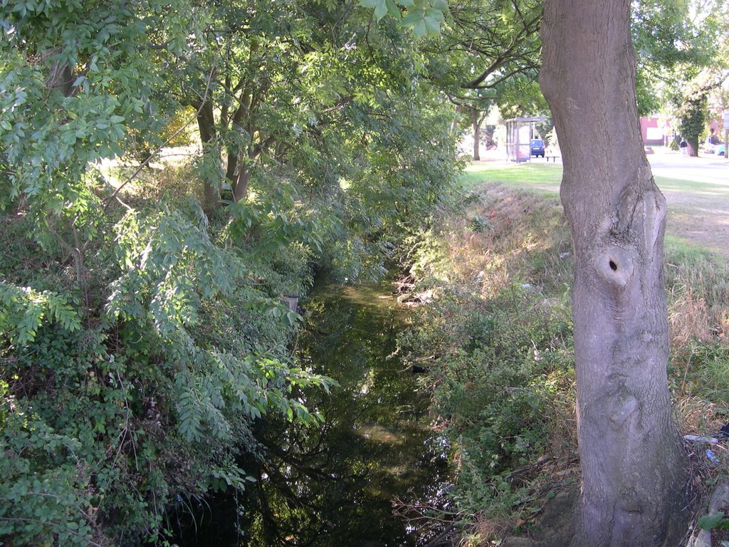 Longmead Road Stream, Ewell, Epsom