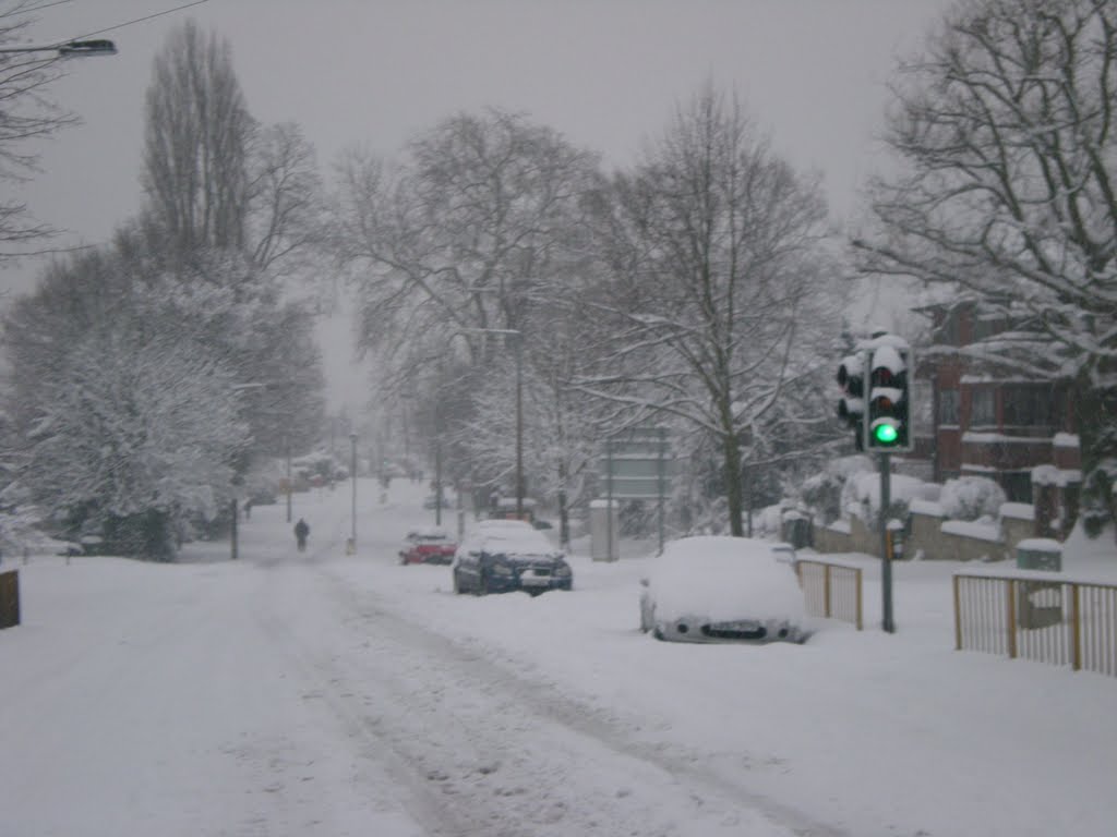 Dorking Road