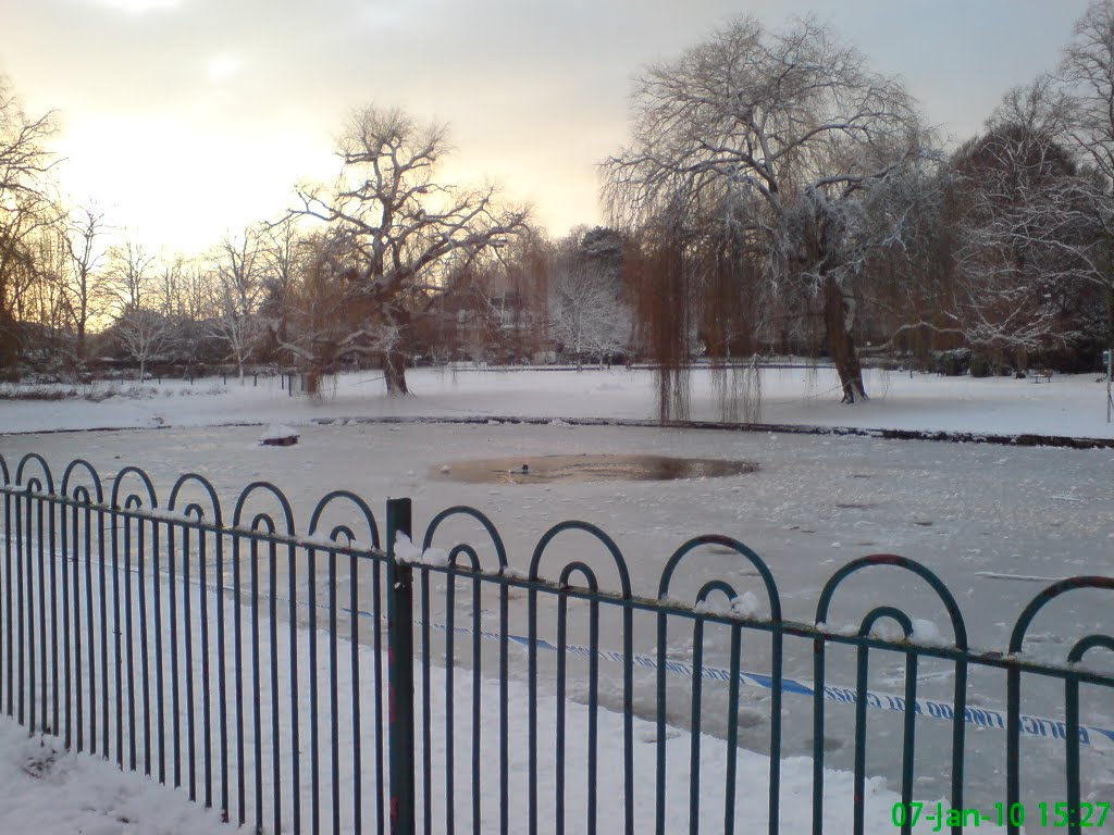 LAC  INGHETAT IN PARCUL EPSOM