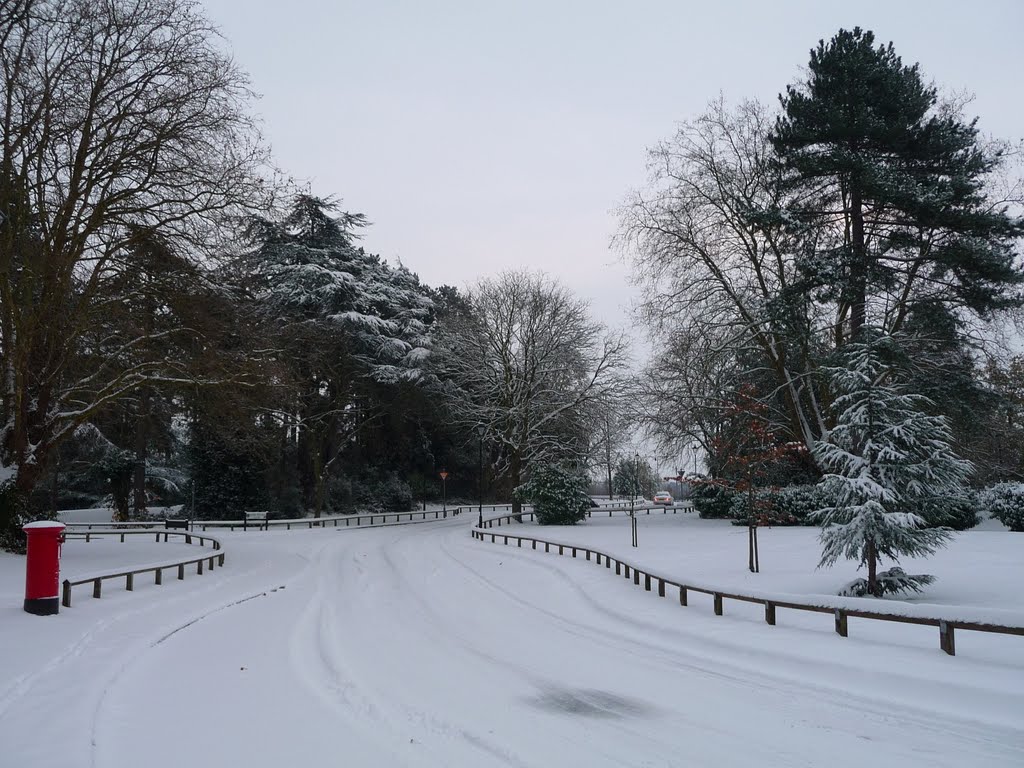Oakwood Avenue