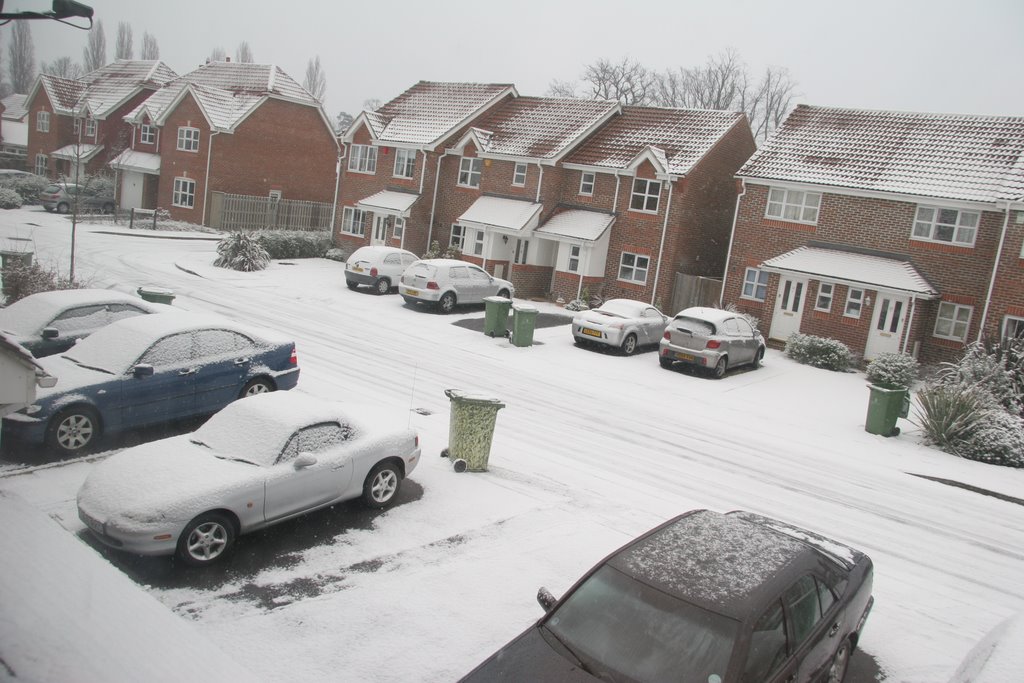 Manor Crescent in Winter