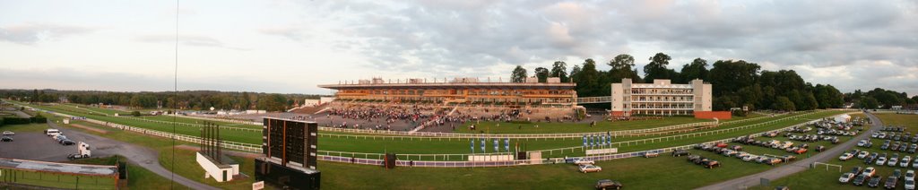 Sandown Park Racetrack from a tethered balloon