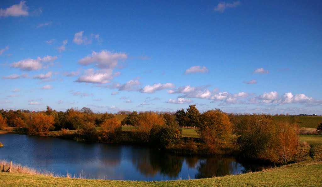 Molesey Heath