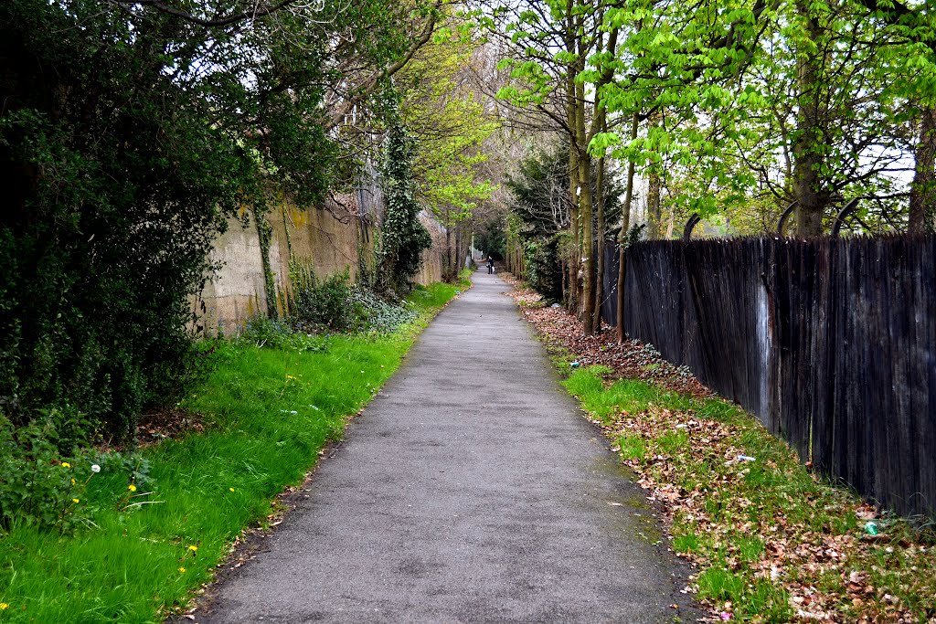 Esher Train Station Walk Path